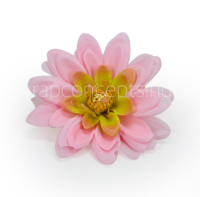 Candy Pink Shaded Dahlias