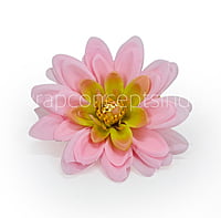 Candy Pink Shaded Dahlias