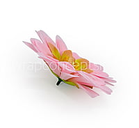 Candy Pink Shaded Dahlias