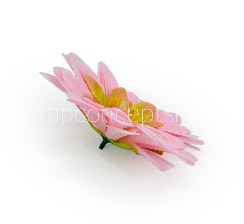 Candy Pink Shaded Dahlias