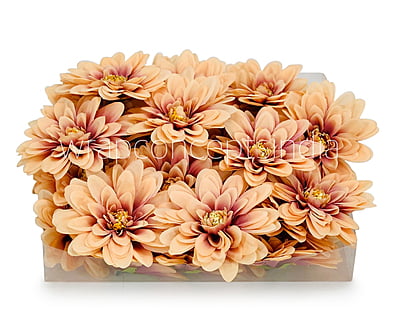 Chestnut with hints of Walnut