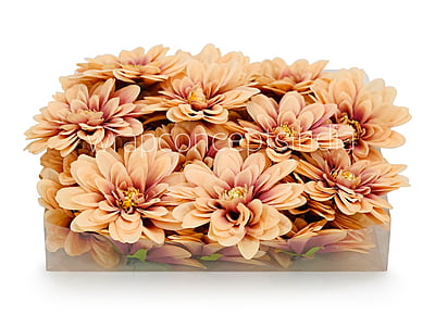 Chestnut with hints of Walnut