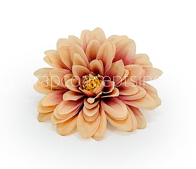 Chestnut with hints of Walnut