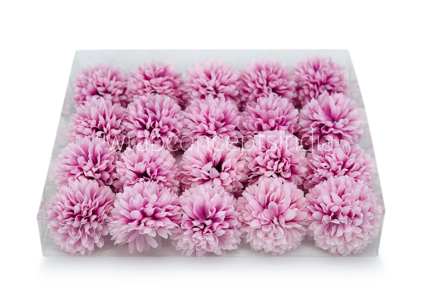 Carnation - Lilac