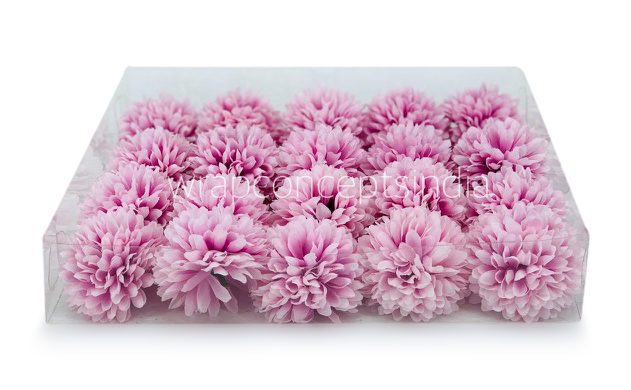 Carnation - Lilac