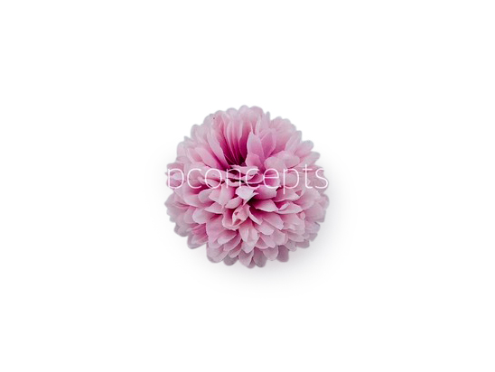 Carnation - Lilac