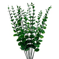 Green Eucalyptus Bunch