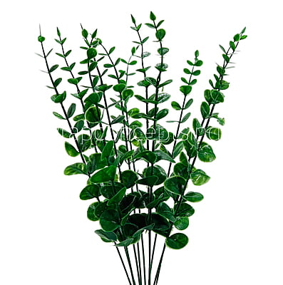 Green Eucalyptus Bunch