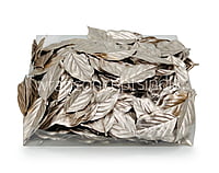 Champagne Honeysuckle Leaves