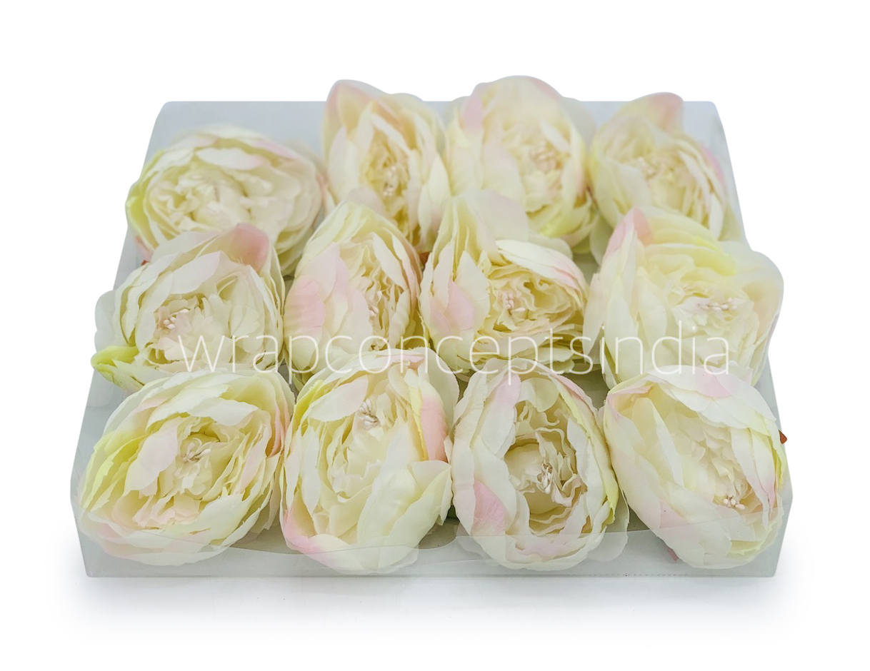 Peony - Ivory with hints of pink