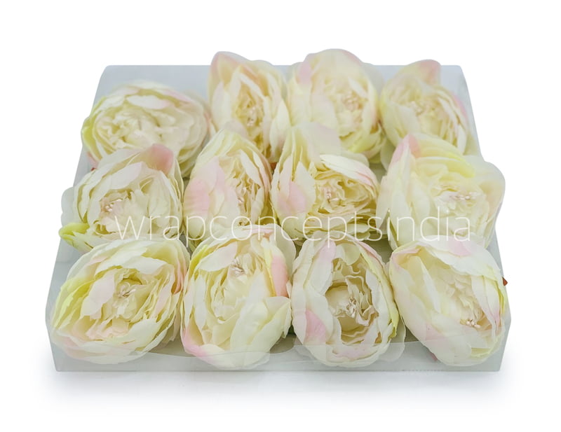 Peony - Ivory with hints of pink