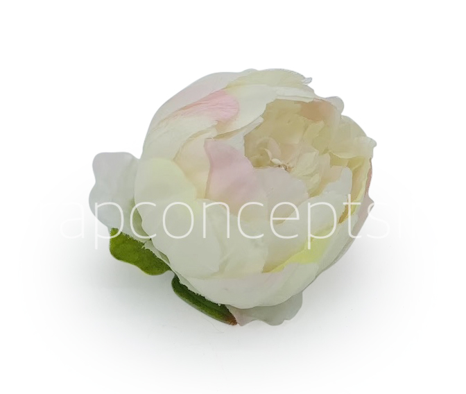 Peony - Ivory with hints of pink