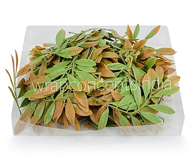 Acacia Leaves Green & Brown Shaded