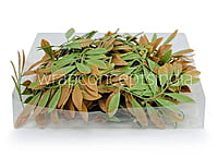 Acacia Leaves Green & Brown Shaded