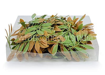 Acacia Leaves Green & Brown Shaded