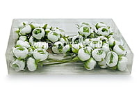 Peonies on stick-White