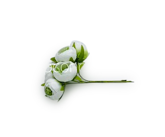 Peonies on stick-White