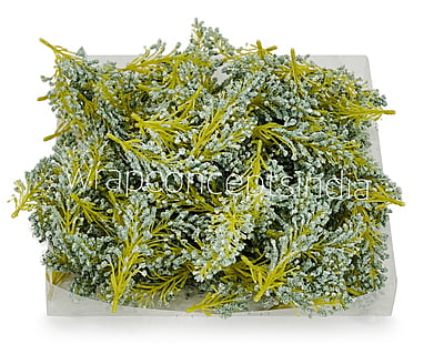 SeaGreen Sugar Pine Leaves