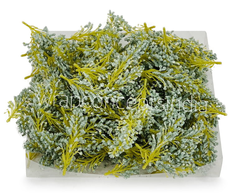 SeaGreen Sugar Pine Leaves