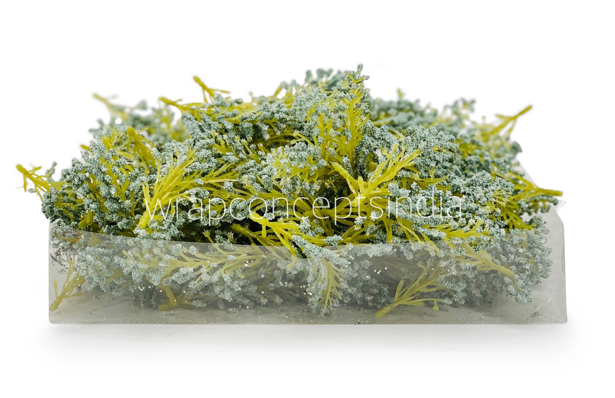 SeaGreen Sugar Pine Leaves