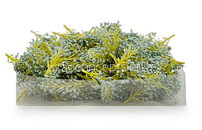 SeaGreen Sugar Pine Leaves