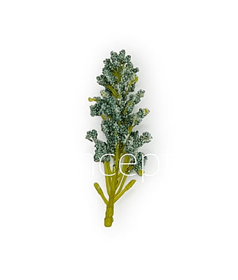 SeaGreen Sugar Pine Leaves