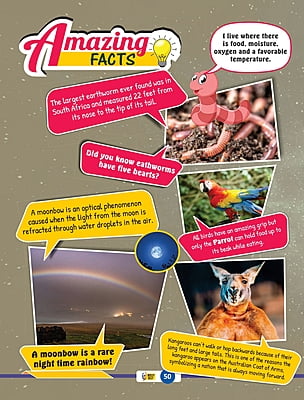 iNTELLYJELLY Senior (8 yrs - 12 yrs) Annual Subscription iNTELLYJELLY Senior (8 yrs - 12 yrs) Annual Subscription