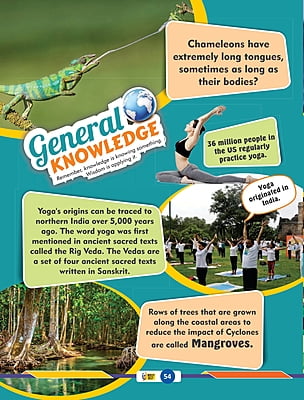 iNTELLYJELLY Senior (8 yrs - 12 yrs) Annual Subscription iNTELLYJELLY Senior (8 yrs - 12 yrs) Annual Subscription