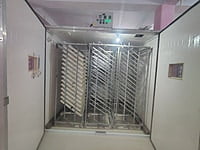 Automatic Commercial Egg Setter – 18,360 Eggs (Model IS-18)