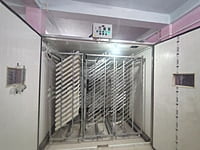 Automatic Commercial Egg Setter – 18,360 Eggs (Model IS-18)