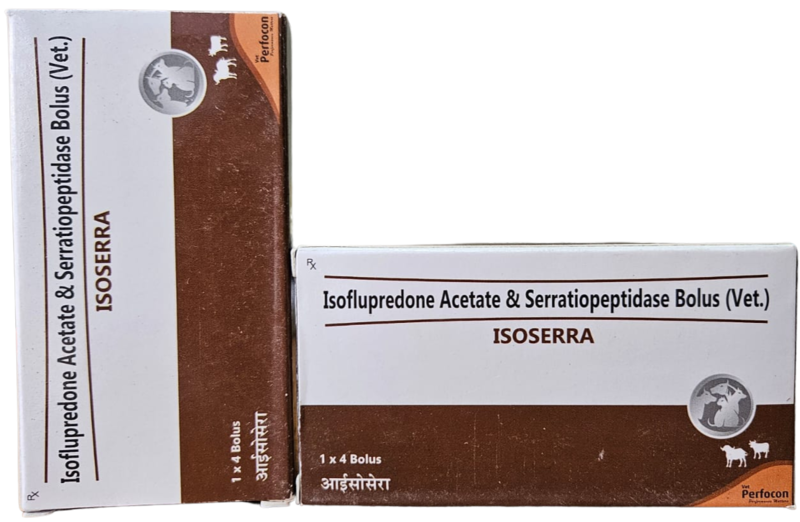 ISOFLUPREDONE & SERRATIOPEPTIDASE BOLUS 4s