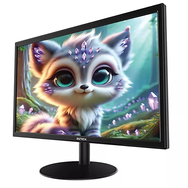 Intex 19 Inch Monitor IT-1902
