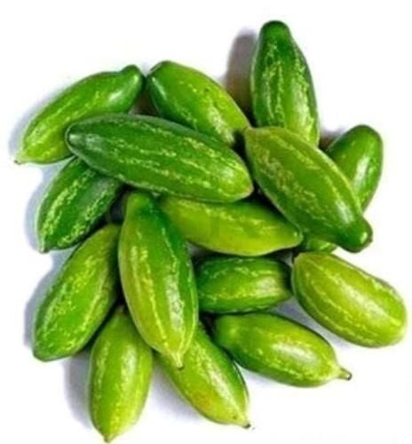 IVY GOURD (Donda / Little Gourd)