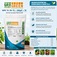 NPK 15:30:15 + 2% MgO + TE | Vetrivel Agro Services