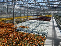 Nursery Facility Cleaning & Sanitation