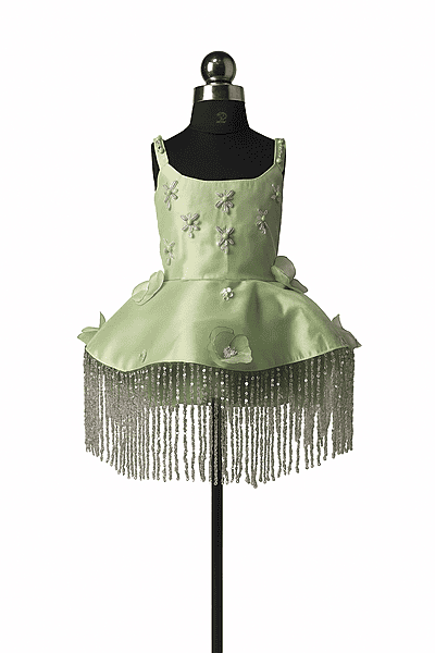 Sage Green Floral Fringe Dress