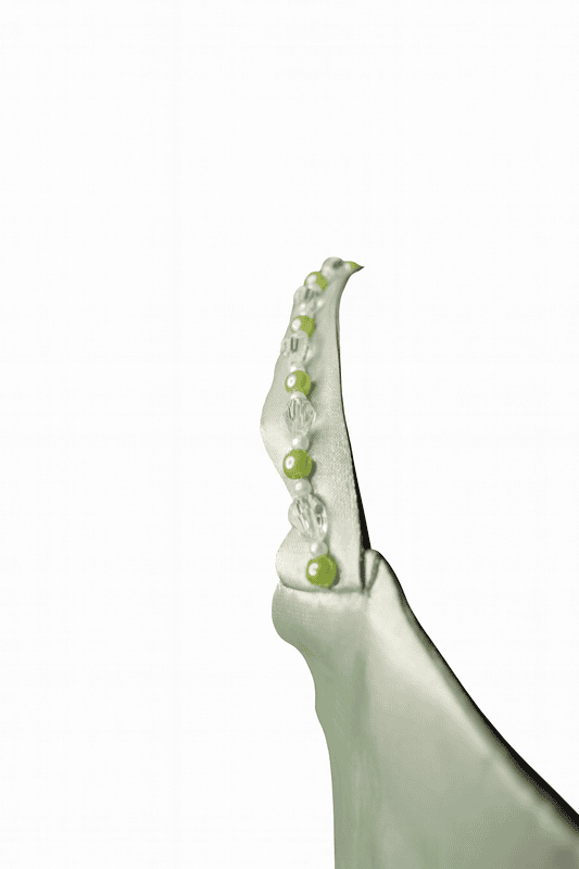 Sage Green Floral Fringe Dress