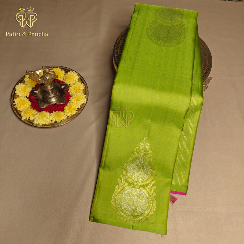 Premium Kanchipuram 2