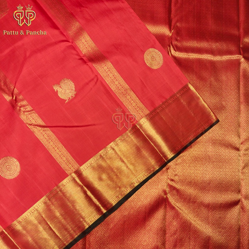 Premium Kanchipuram 4