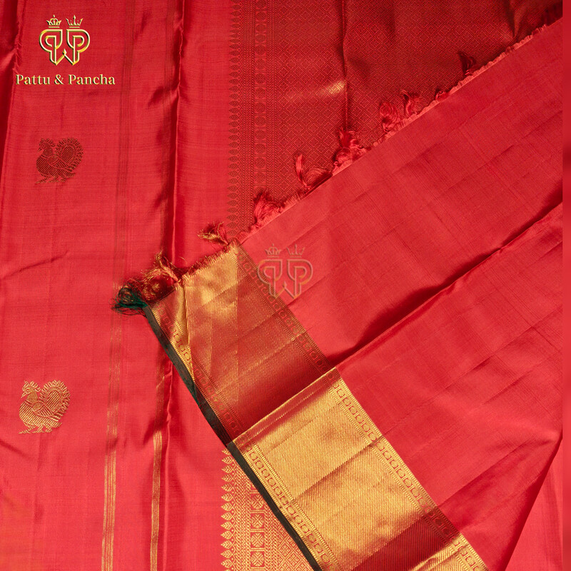Premium Kanchipuram 4