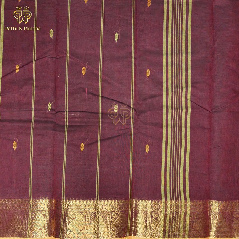 Kanchi Cotton Dark Coffee Brown Saree with Buttas and Gold Zari Border