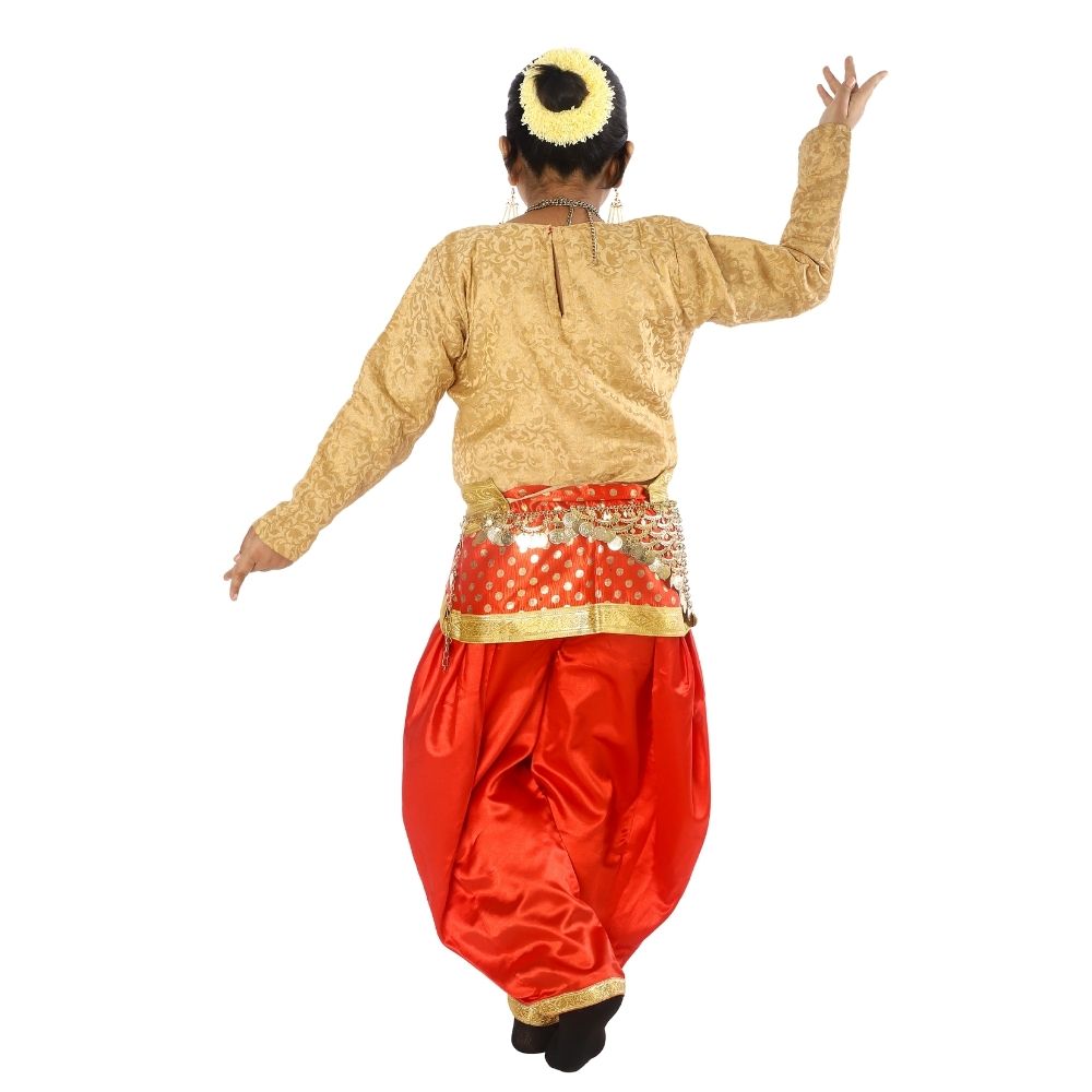 Indian Semi Classical Dance Costume Girls Indian Semi Classical Dance Costume Girls
