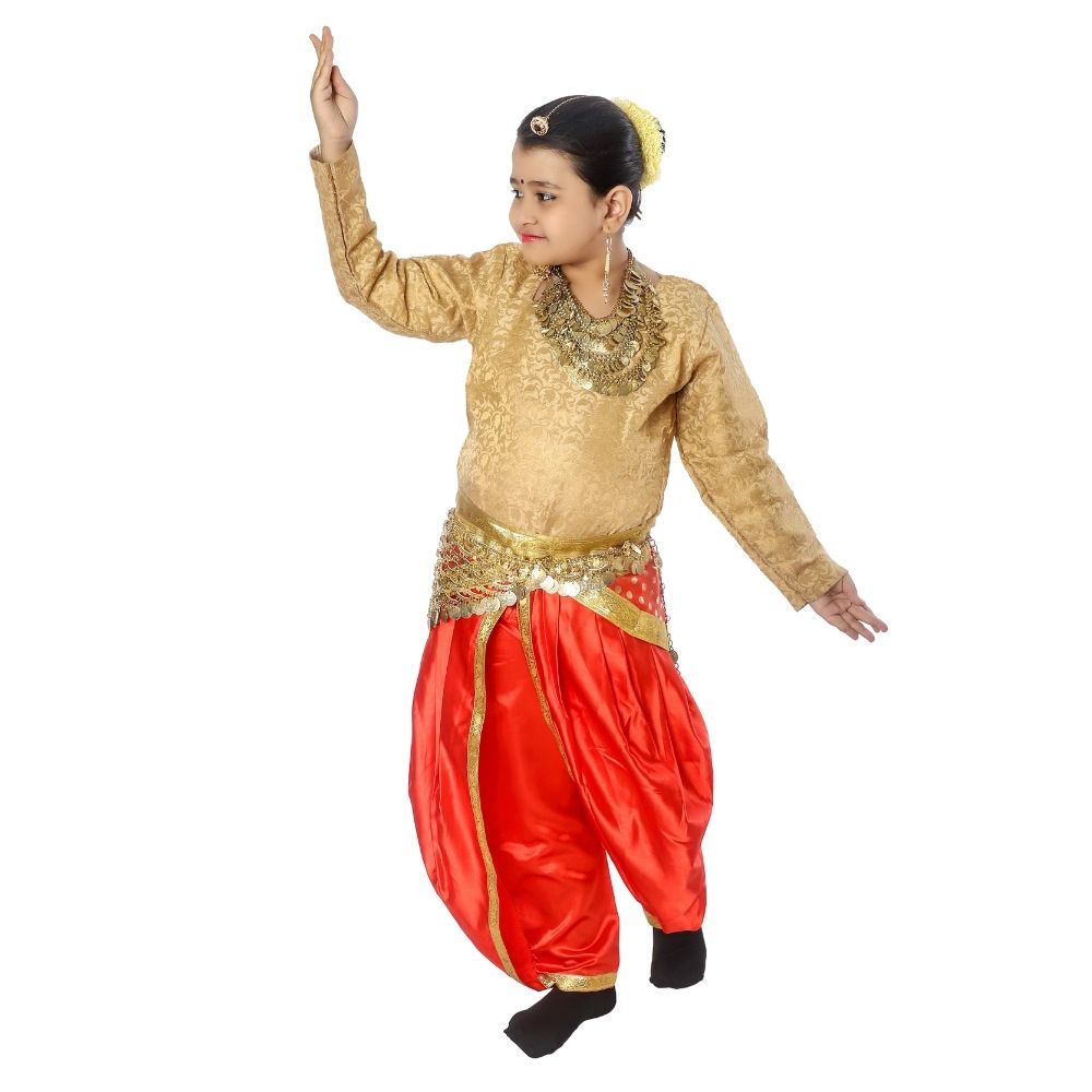 Indian Semi Classical Dance Costume Girls Indian Semi Classical Dance Costume Girls