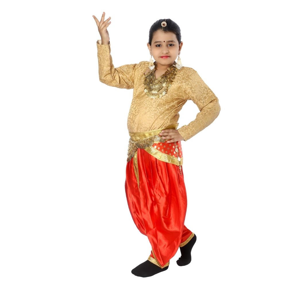 Indian Semi Classical Dance Costume Girls Indian Semi Classical Dance Costume Girls