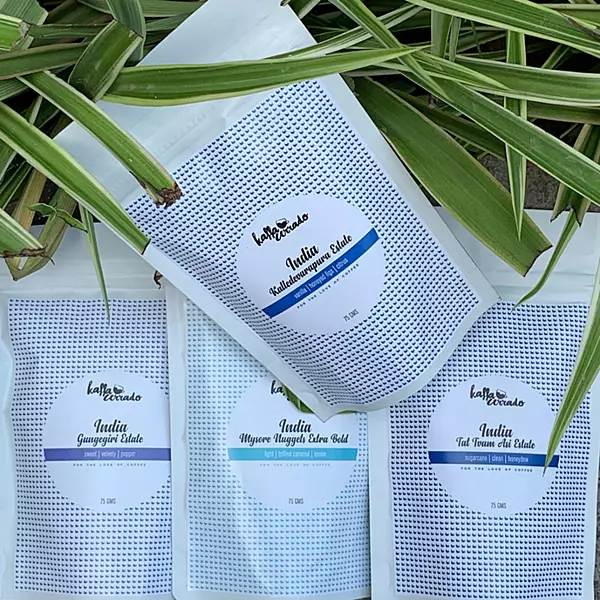 Indian Coffee Tasting Pack 300 Gms