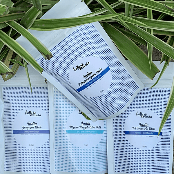 Indian Coffee Tasting Pack 300 Gms