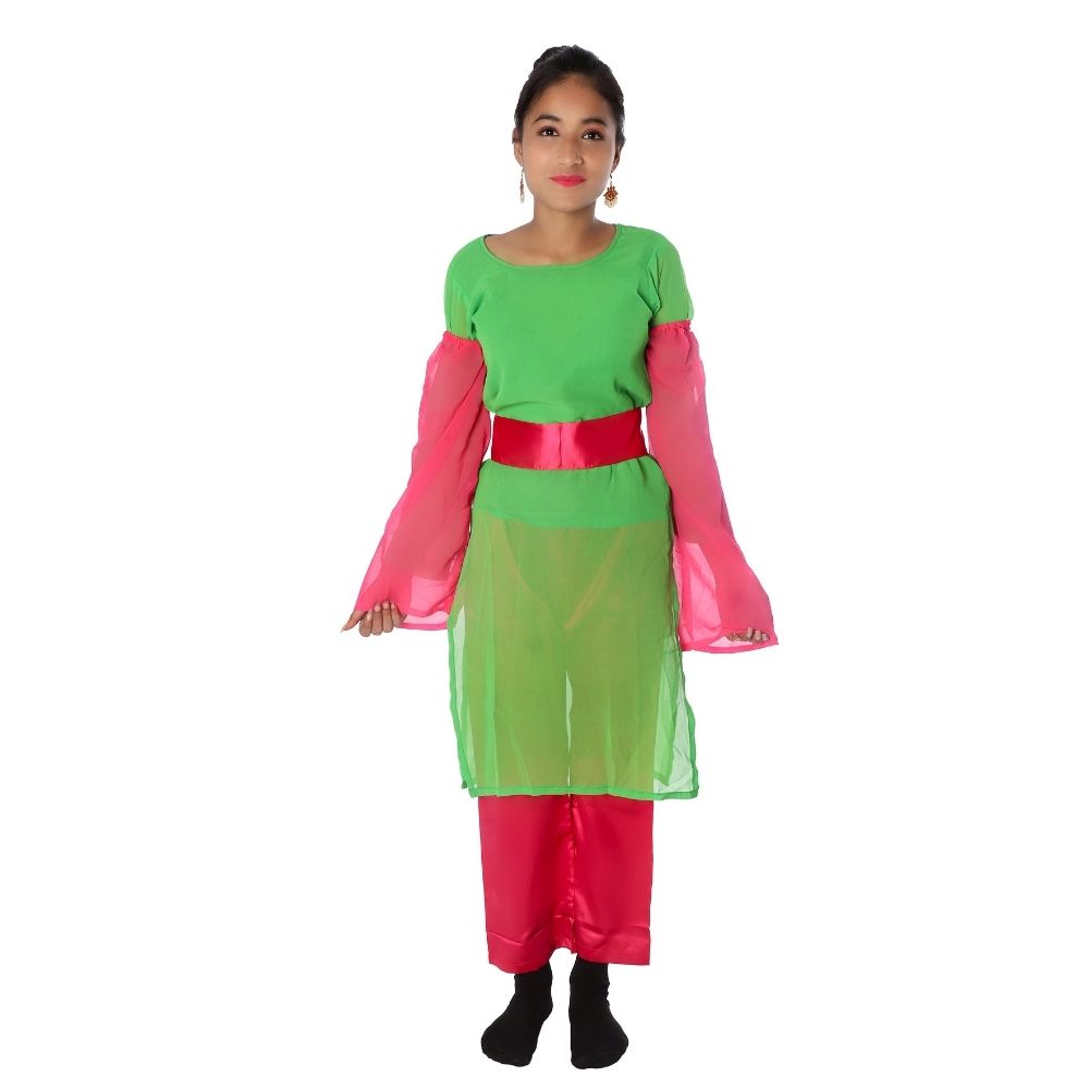 Indo Western Fancy Dress Costume Magenta And Green Indo Western Fancy Dress Costume Magenta And Green