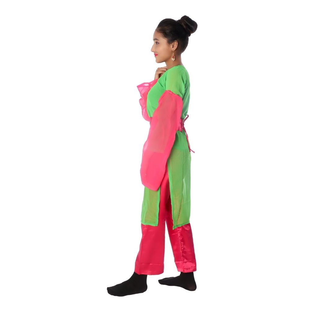 Indo Western Fancy Dress Costume Magenta And Green
