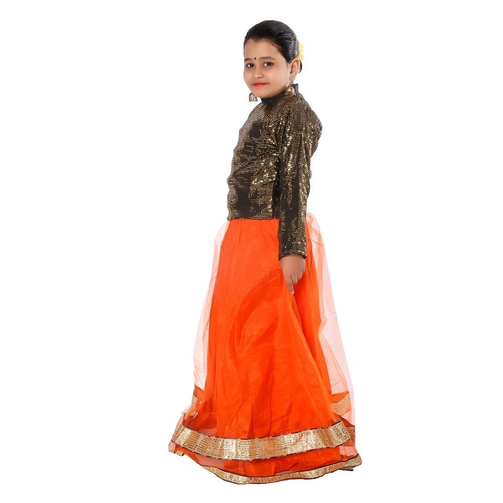 Indo Western Long Skirt Top Fancy Dress Indo Western Long Skirt Top Fancy Dress