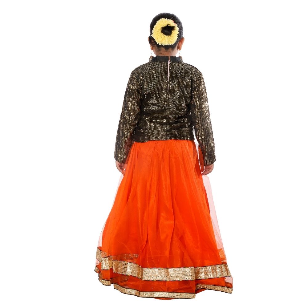 Indo Western Long Skirt Top Fancy Dress Indo Western Long Skirt Top Fancy Dress